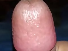 Cute Indian cock with perfect tip to blow your crack