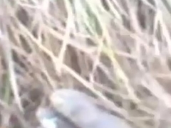 Frying Desi south indian village cheating fucked husband friend  jungle by in outdoor fucking sound evident audio slow motion